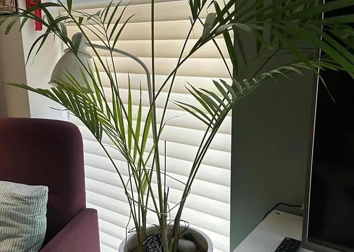 Artspoon Space Condition